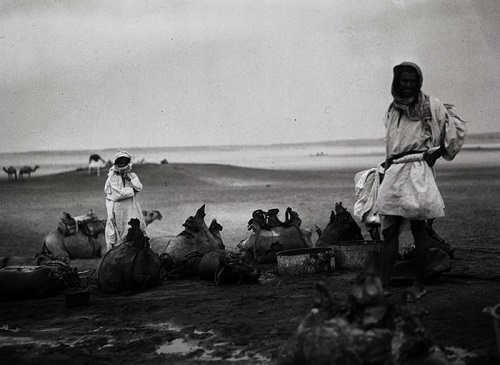 بادیه نشینان عربستان